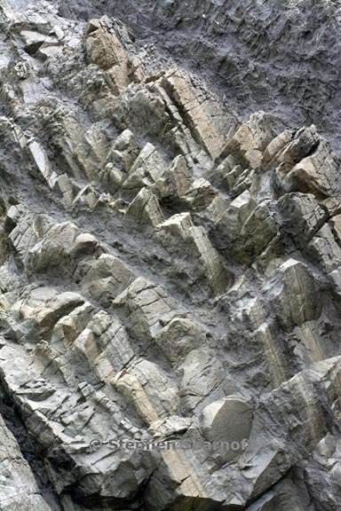 rockface 3703 4 graphic